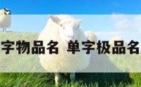单字物品名 单字极品名称