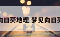 梦见走在向日葵地理 梦见向日葵在天上飞