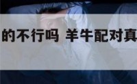 羊牛配对真的不行吗 羊牛配对真的不行吗图片