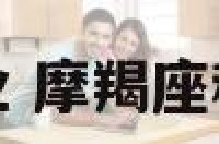 摩羯与双子的事业 摩羯座和双子座工作搭档