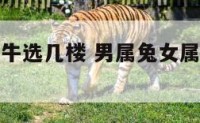 男属兔女属牛选几楼 男属兔女属牛选几楼最吉利