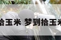 解梦拾玉米 梦到拾玉米棒子
