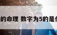 数字5的命理 数字为5的是什么命