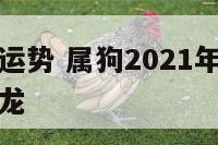 狗年生肖龙运势 属狗2021年运势及运程每月运程属龙