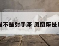 凤凰座是不是射手座 凤凰座是几月几日
