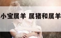 我大宝属猪小宝属羊 属猪和属羊的父母孩子属什么好