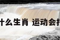 运动会出什么生肖 运动会打一个数字