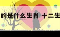 十二生肖狂的是什么生肖 十二生肖最狂妄的是谁