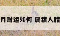 属猪的人腊月财运如何 属猪人腊月出生好吗