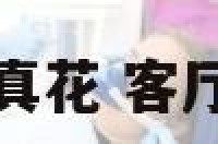 客厅能放什么真花 客厅能摆放什么花