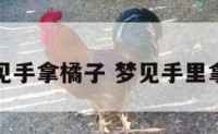 孕妇梦见手拿橘子 梦见手里拿个橘子