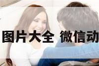 微信动物生肖图片大全 微信动物表情包图片