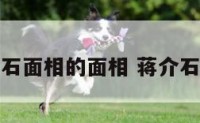 蒋介石面相的面相 蒋介石面貌