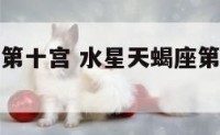 水星天蝎座第十宫 水星天蝎座第十宫代表什么