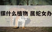 属蛇女办公摆什么植物 属蛇女办公室放什么花最旺财