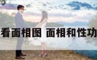 性看面相图 面相和性功能