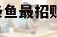 属猪人可以养几条鱼最招财 属猪适合养什么鱼几条