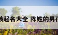 陈姓的男孩起名大全 陈姓的男孩名字大全
