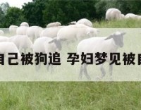 孕妇梦见自己被狗追 孕妇梦见被自己的狗追