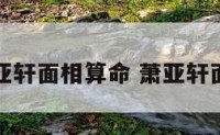 萧亚轩面相算命 萧亚轩面部