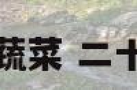 二十四节气种植蔬菜 二十四节气种菜大全
