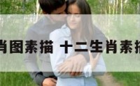 十二生肖图素描 十二生肖素描铅笔画