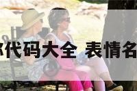 qq表情昵称代码大全 表情名字代码大全