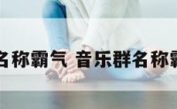 音乐群名称霸气 音乐群名称霸气十足