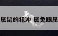 属兔和属鼠的犯冲 属兔跟属鼠的人