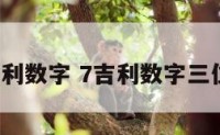 7吉利数字 7吉利数字三位数