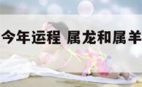 属龙和属羊今年运程 属龙和属羊的人财运相冲吗
