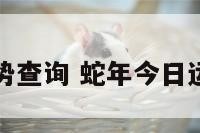 蛇年运势查询 蛇年今日运势查询