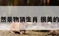 美好的自然景物猜生肖 很美的自然景象