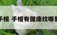 健康纹手相 手相有健康纹哪里不健康