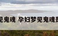 孕妇梦见鬼魂 孕妇梦见鬼魂是胎梦吗