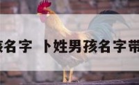 卜姓男孩名字 卜姓男孩名字带什么字好