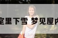 梦见卧室里下雪 梦见屋内下雪了