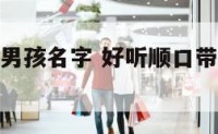 带有宸字的男孩名字 好听顺口带宸字的男孩名字