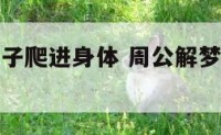 周公解梦虫子爬进身体 周公解梦虫子爬进身体什么意思