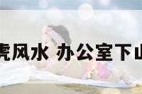 办公室下山虎风水 办公室下山虎风水好吗