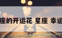 星座的开运花 星座 幸运花