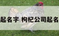 枸杞公司起名字 枸杞公司起名字怎么起