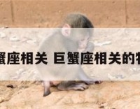 巨蟹座相关 巨蟹座相关的物品
