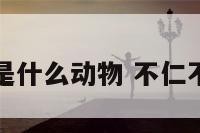 不仁不义是什么动物 不仁不义指的是