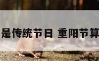 重阳节是不是传统节日 重阳节算传统节日吗