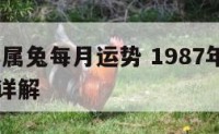 1987年属兔每月运势 1987年属兔每月运势详解