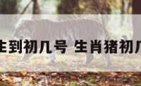 属猪的生到初几号 生肖猪初几出生好