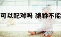 貔貅不依样可以配对吗 貔貅不能跟什么放在一起