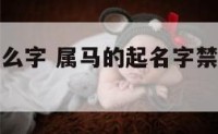 属马名忌什么字 属马的起名字禁忌的字有哪些