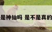 会有人是神仙吗 是不是真的有神仙
